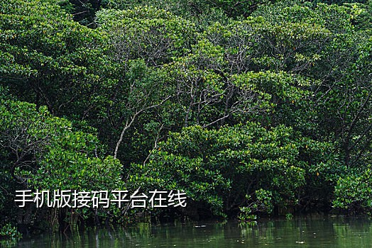 免费移动手机接码