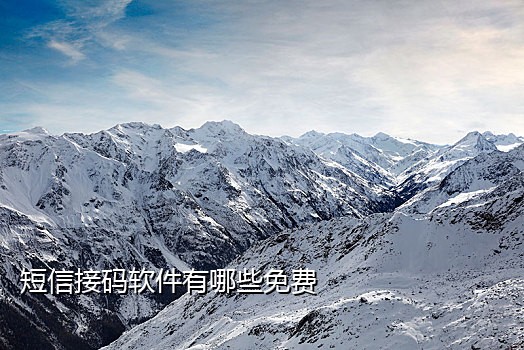 免费接码软件手机版苹果