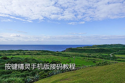 免费接码短信验证码平台