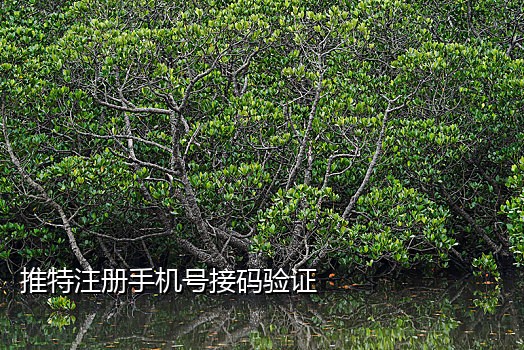 免费国内短信接码平台
