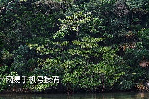 美团接验证码软件下载不了