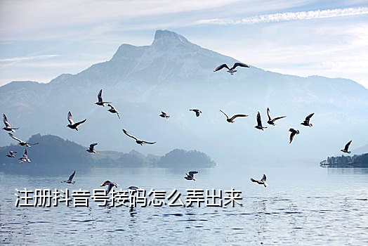 美国手机号接码租用