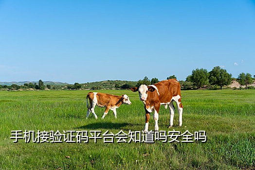 买个手机接验证码