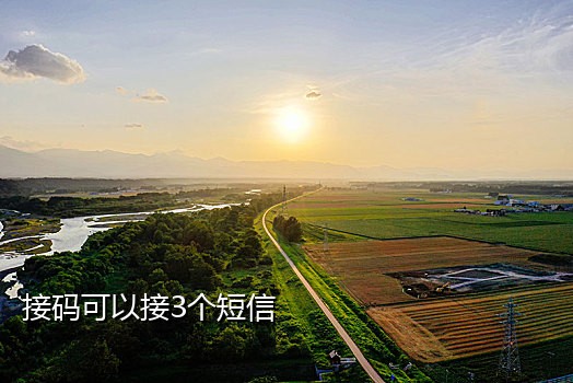 辣椒短信接码