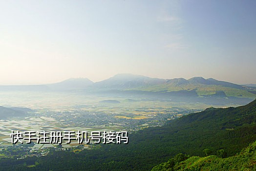 快手接不到验证码怎么办