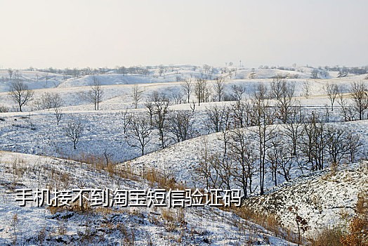 可以接短信验证码的软件