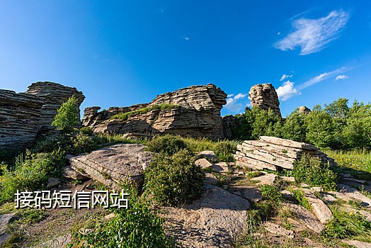 京东接码怎么接的