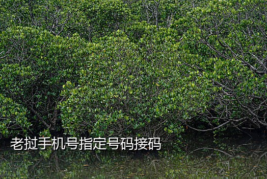 接美团验证码的平台