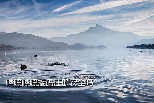 接码刷西瓜视频复活卡