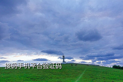 接码实名手机卡平台怎么弄