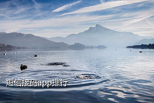 接码平台手机号能用多久