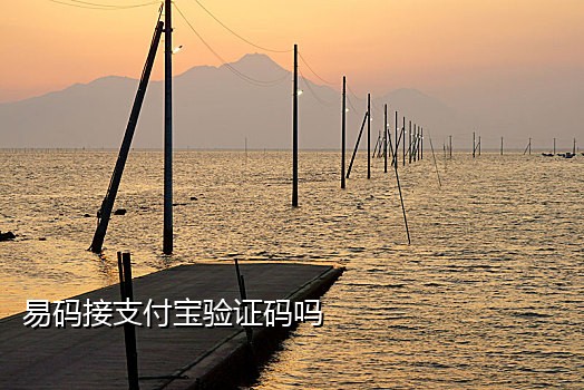 接码平台能注册淘宝吗