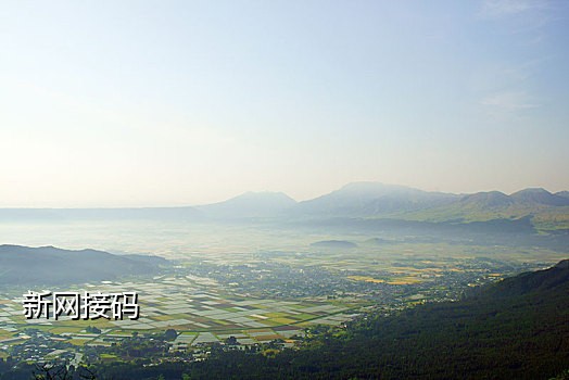 接码号在线接收短信平台是什么