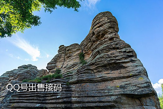 接码短信平台违法吗安徽