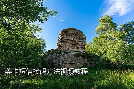 接码短信模板