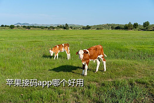 接码app可以注册微信吗