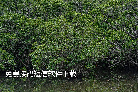 火云接码怎么获取手机号