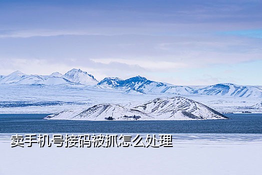 国外短信接码验证码平台下载