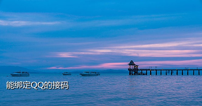 国内手机接码平台