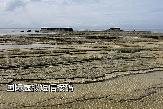 刚果短信接码平台