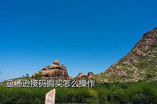 短信接验证码接口平台