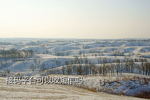 短信接码软件哪个好用吗