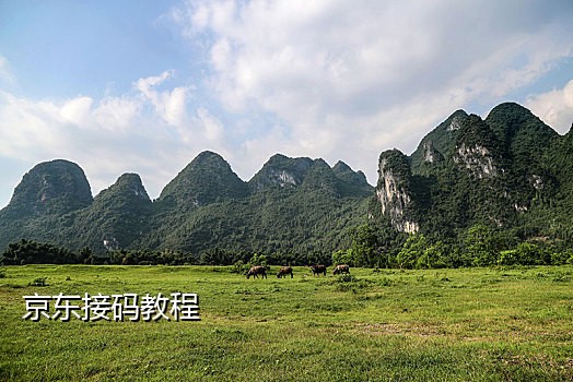 短信接码平台排名