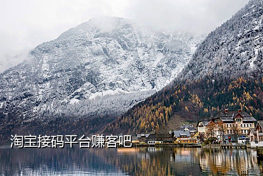 短信接码米云平台