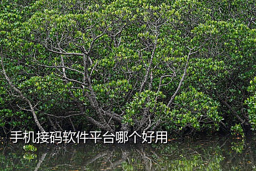 短信接码工具怎么使用视频