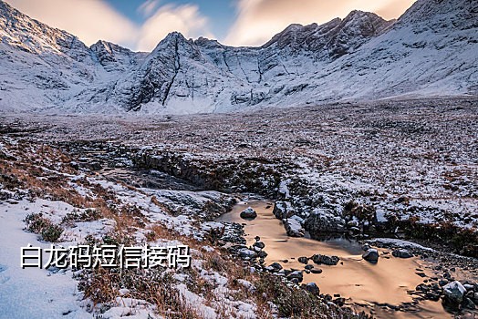 短信接码付费平台