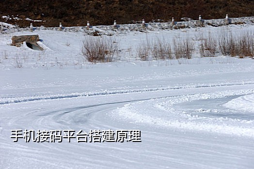 手机视频接码器