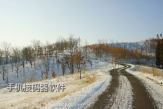 短信接不到验证码怎么办