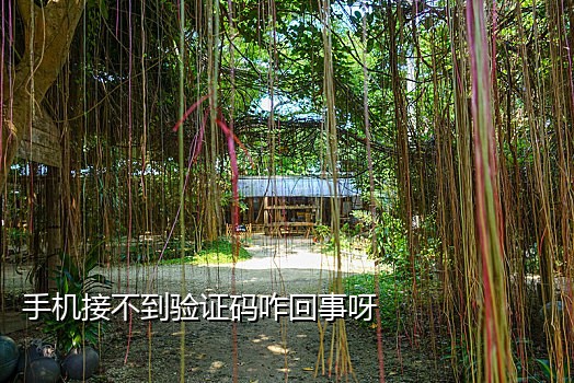 抖音语音接码白号