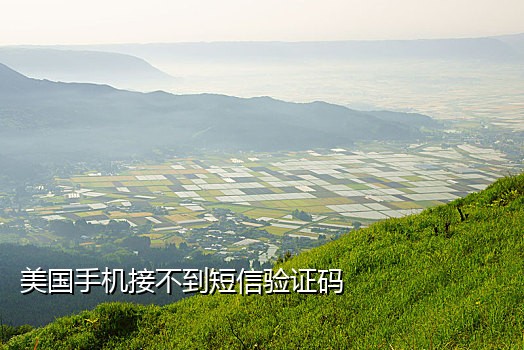抖音虚拟号码接码平台
