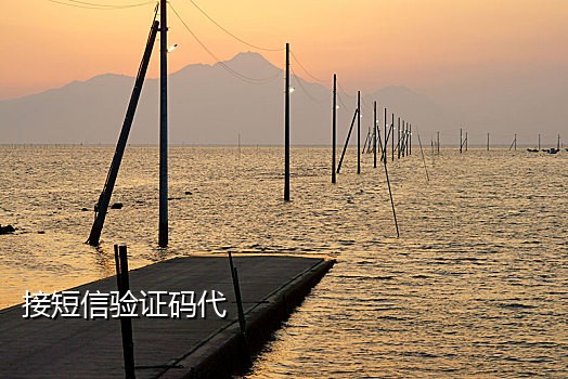 抖音美国号怎么接码