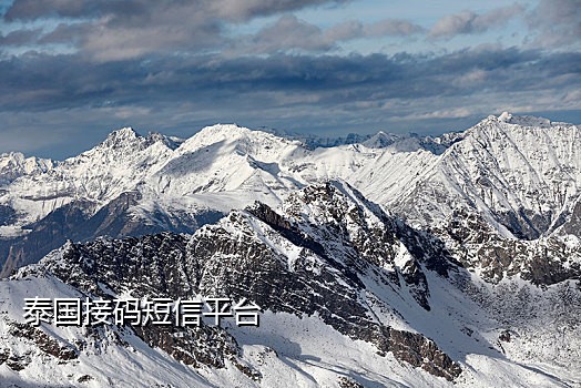 抖音接码渠道在哪里找到