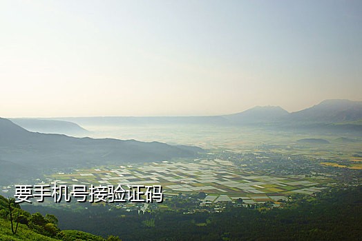 抖音接码接单软件有哪些