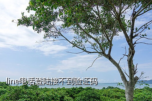 代接短信验证码的平台叫什么来着