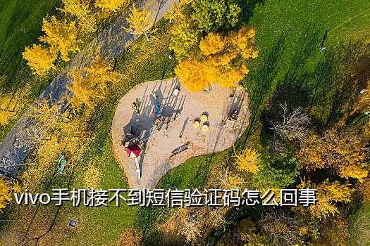 不用手机接验证码