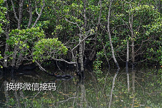 手机卡老接不到验证码怎么解决