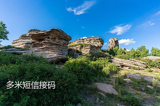 百度接码网页版