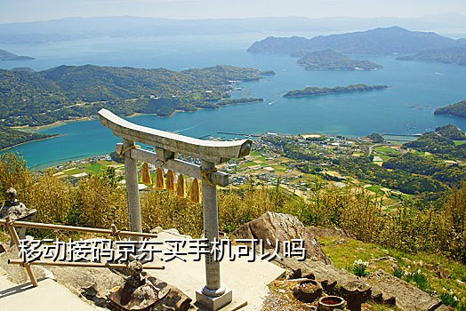 vivo手机接不到验证码怎么回事