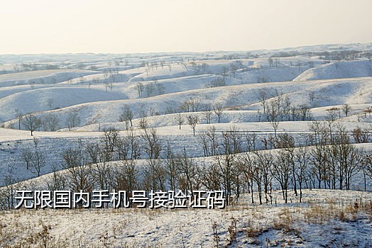 uu云短信接码