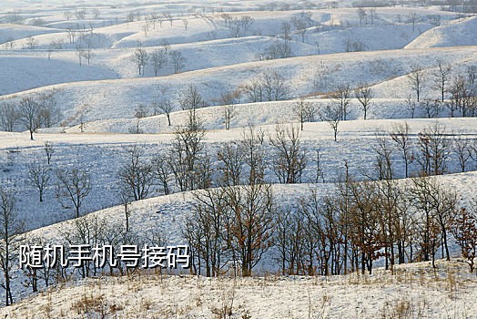 soul账号注册 接码平台