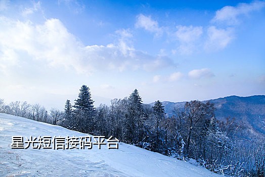 soul免费接码网站