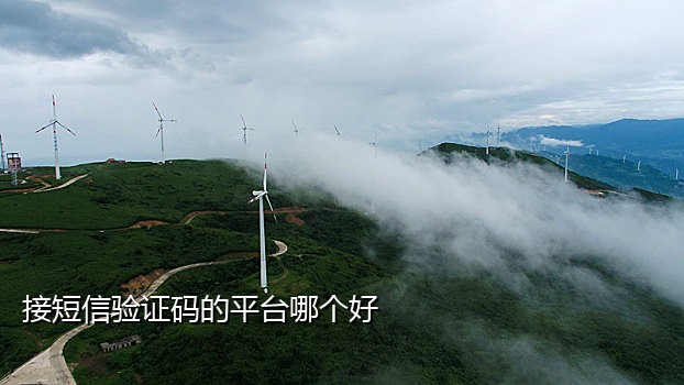2020手机免费接码