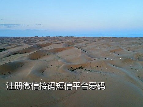 2020接码平台手机