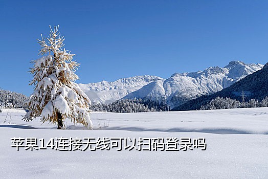 注册微信接不到手机验证码