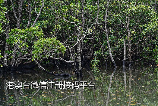 注册手机号接码