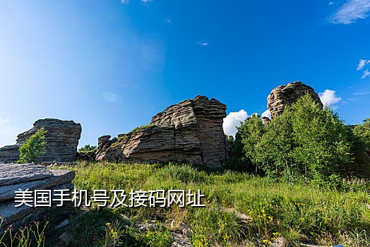 中国移动接码短信